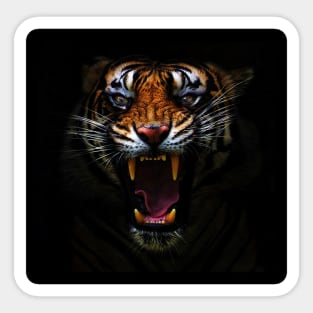 Angry-Tiger-Darkness-Predators Sticker